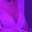 z_dontsteal