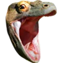Komodohype