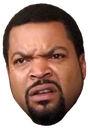 wtf Discord emoji