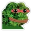 Napany Pepe Discord Emoji