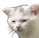 me