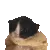 babyscream babyscream