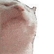 catJAM