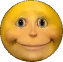 Slight_Smile Slight_Smile