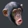 Pogchimp Pogchimp Discord Emoji