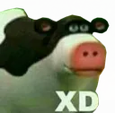 vacaeksdi vacaeksdi