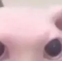 bingus2