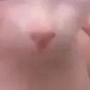 bingus5