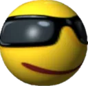 y_SUNGLASSO_DN