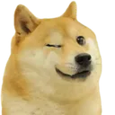 doge_wink