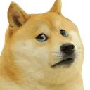 doge_sad