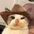 Hat_Glenn