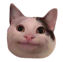 cat Discord sticker - NOVΛ | МИР 🎃