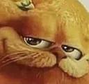 garfield