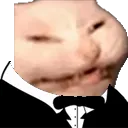 zubatTUX