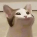 pop_cat