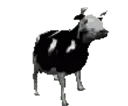 Dancingcow