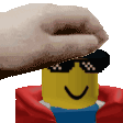 coeptuspet