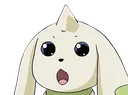 TerrierShocked TerrierShocked