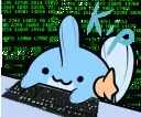 hackkip