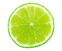 limetorrents
