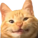 hie hie
