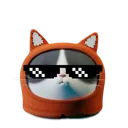 memebir memebir