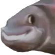 YEPfishL YEPfishL