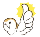 owlok