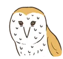 owlsweat