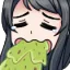 vomit