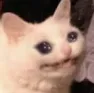 crycat