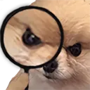 angrydogmagnify