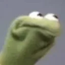 kermitwut