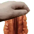 PetPcon