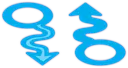L_
