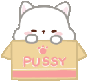 catinabox Discord Emoji