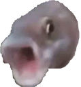 fishpog
