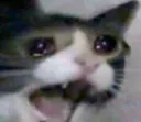 waaaahhh