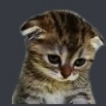 kediuzgun Discord emoji