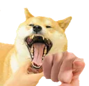 doge_laugh