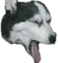Bleh