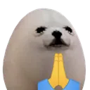 dorimeggdog