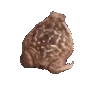 frogspin