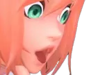 AniPoggers