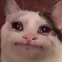 cry2