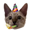 JulioBday