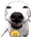 Grin