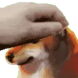 patJJ patJJ