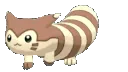 Furret_Walk